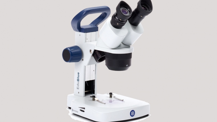 Stereo Microscopes