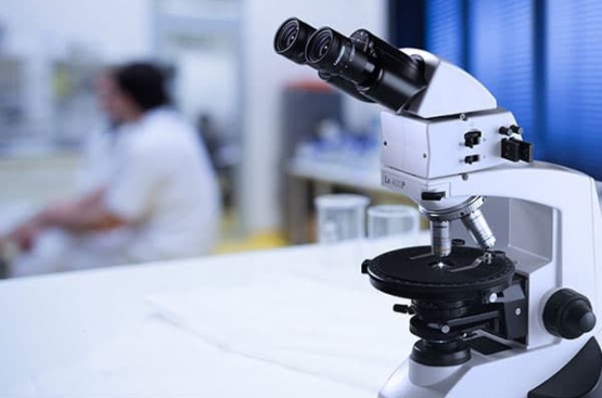 Life & Materials Microscopes